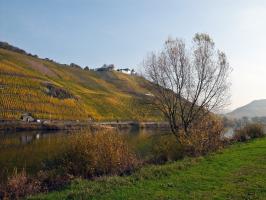 Moselufer und Marienburg im Herbst