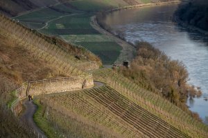 Schlafende Landschaft unterhalb Marienburg